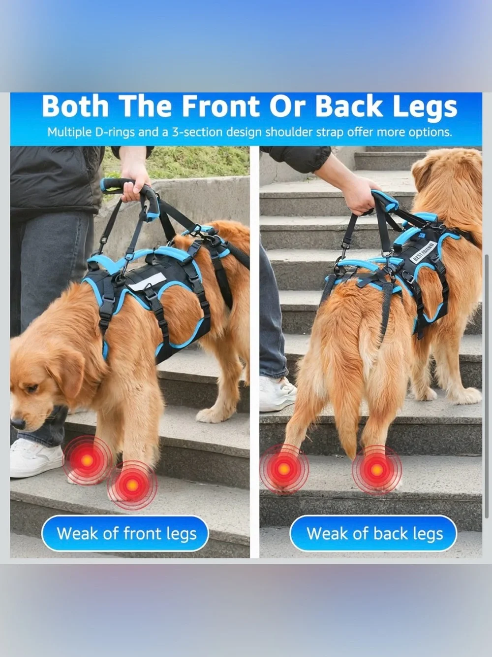 Lafoty Dog Lift Harness For Male Dogs (Medium, Black) 563/DC-3:v
